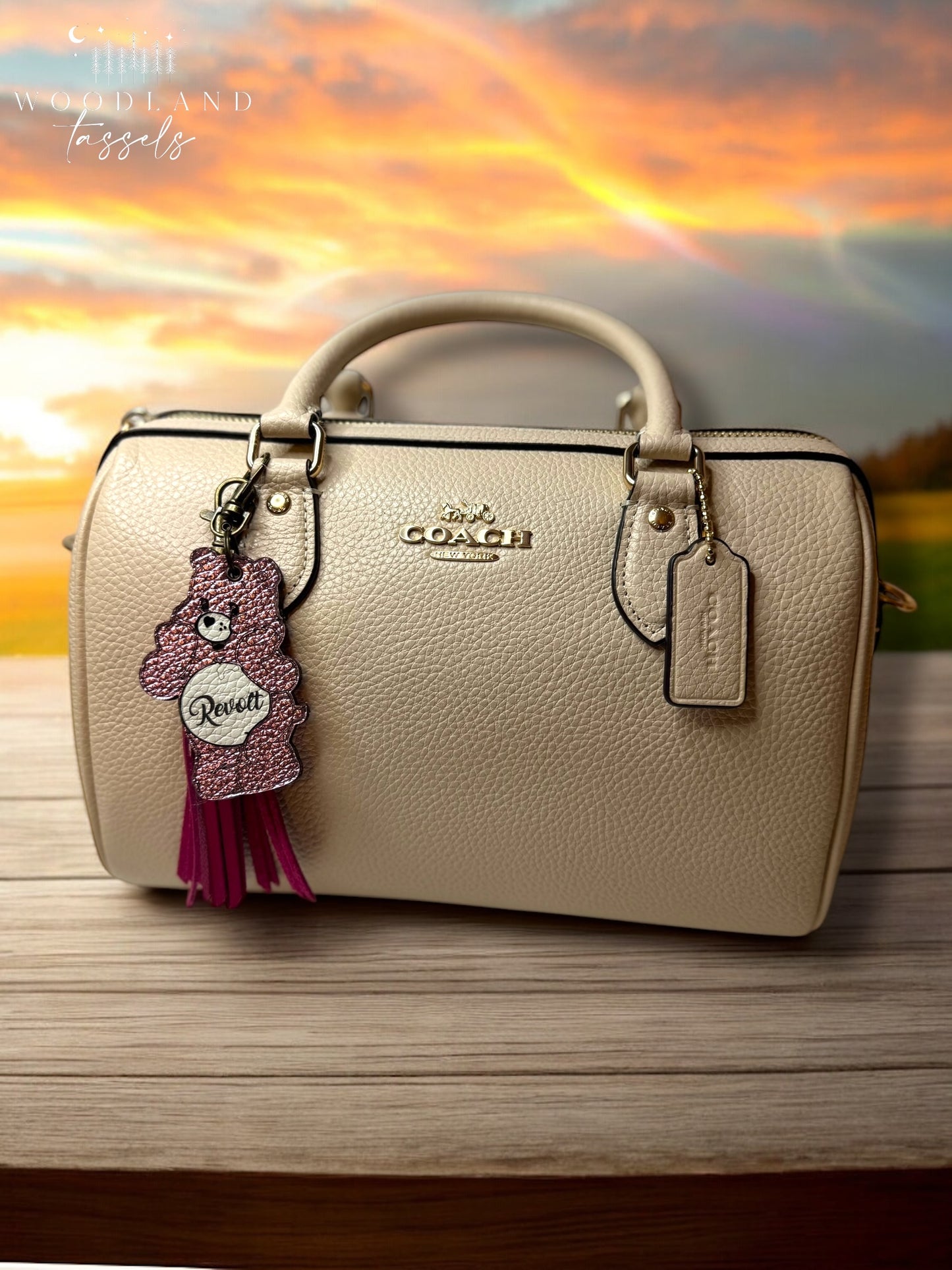 Caring Bears - Pre Order✨