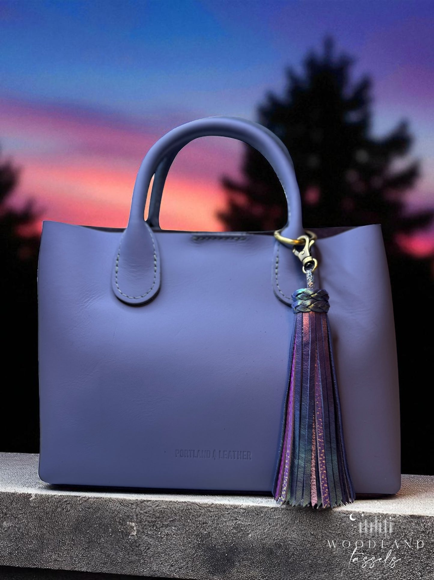 Aurora Leather Tassel Purse Charm